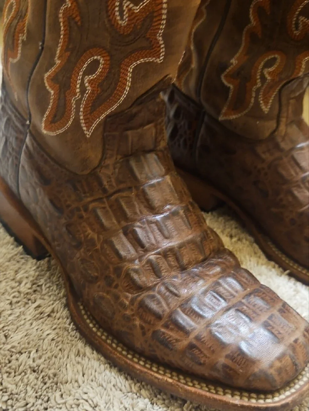 HP rich croc